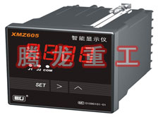 溫度表、數(shù)字顯示儀、濕度表